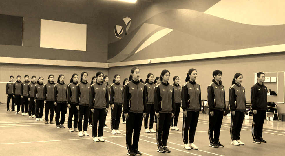 Gân bánh chè của An Se-young: ba lớp dữ liệu và một khoảng trống không ai muốn gọi tên Gân bánh chè của An Se-young: ba lớp dữ liệu và một khoảng trống không ai muốn gọi tên