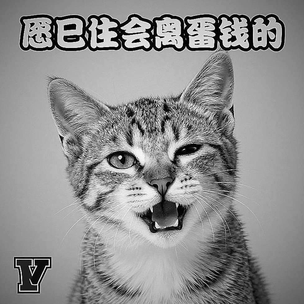Thắng ở phần B, thua ở phần C: bài toán dữ liệu của võ thuật biểu diễn Việt Nam
